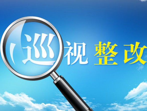 中共甘肅演藝集團有限責任公司委員會關于巡視整改進展情況的通報